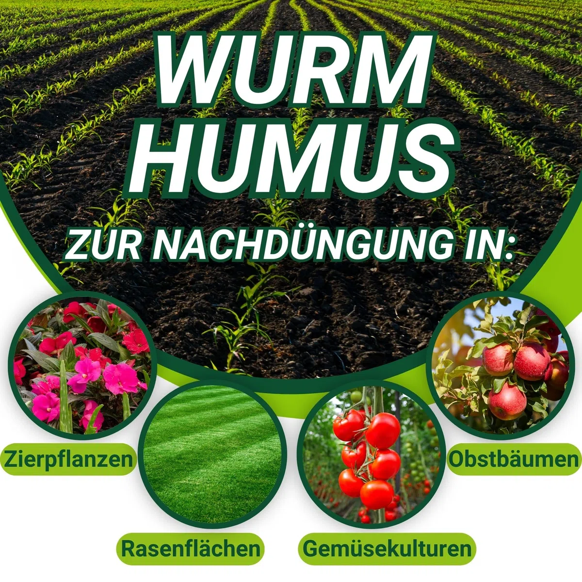 DżoHumus BIO Dünger 1000L Obst und Gemüsedünger | Compo Blumendünger Flüssig für Wachstum | Natürlicher Pflanzendünger für alle Grünpflanzen | Grünpflanzendünger für Große Garten