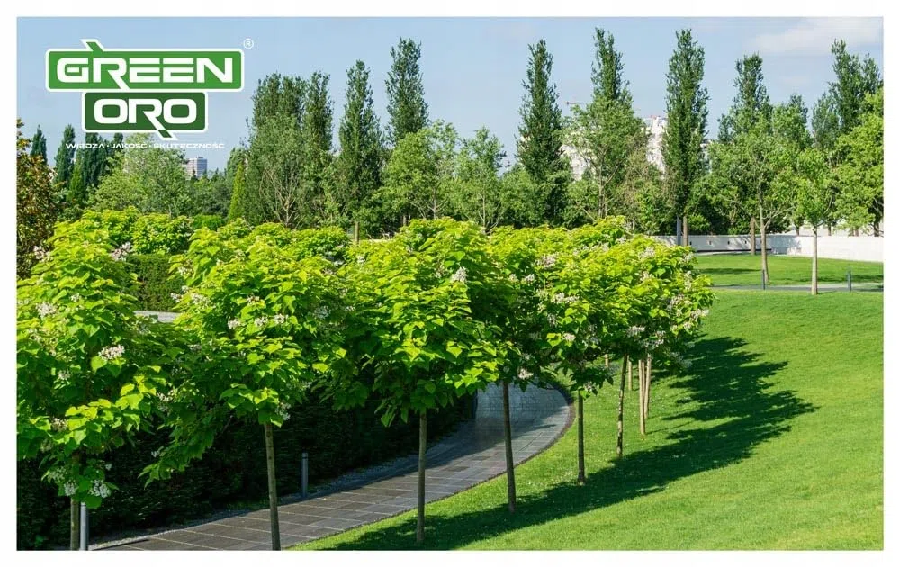 ORO MULTI 24KG - Universaldünger für alle Pflanzen mit Langzeitwirkung