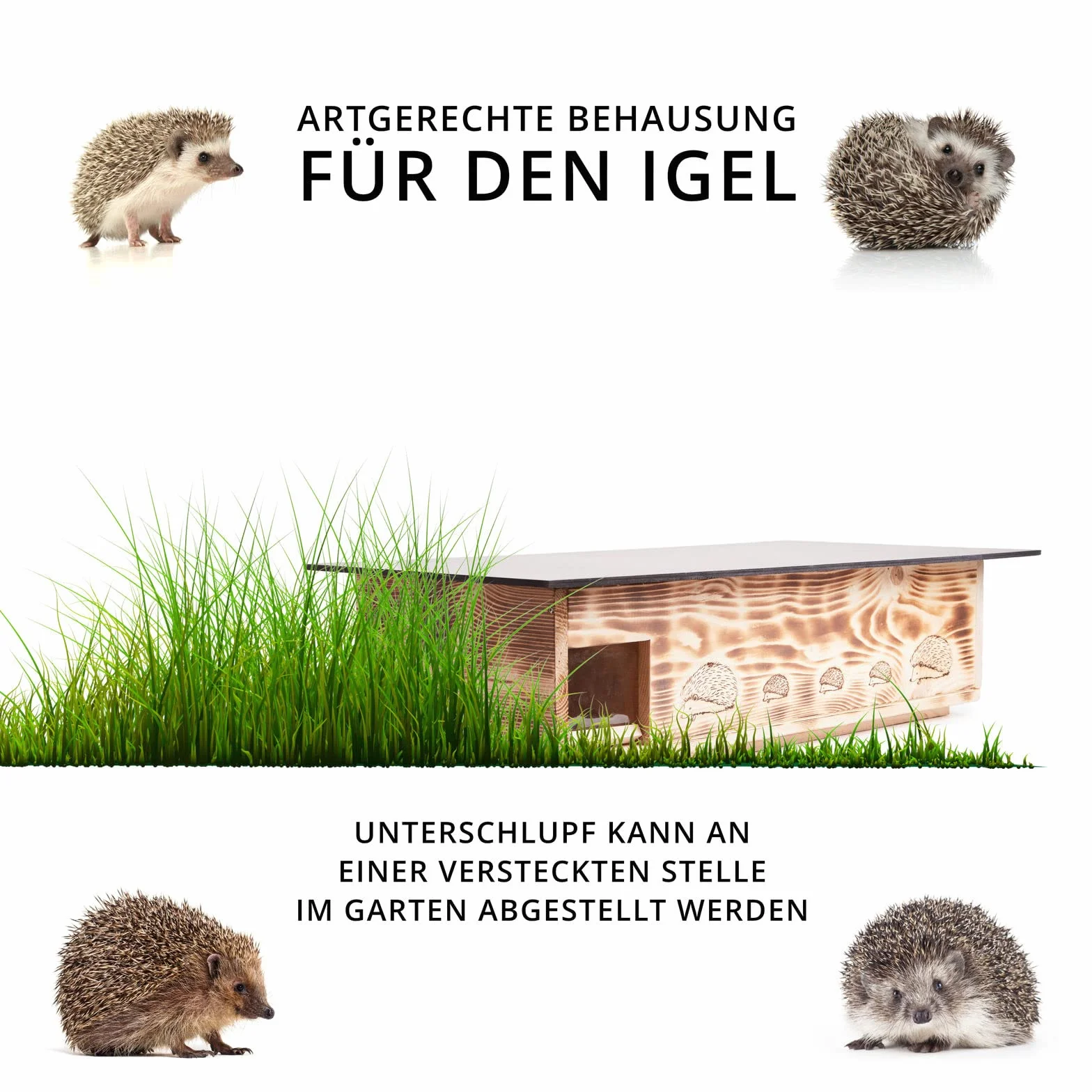 XXXL Igelhaus Neu (IG6) Igelhütte - Igelhaus mit Labyrintheingang und Rattenklappe - mit Boden und Abnehmbarer Dachöffnung zur leichteren Reinigung - inc. 2 Futterschalen