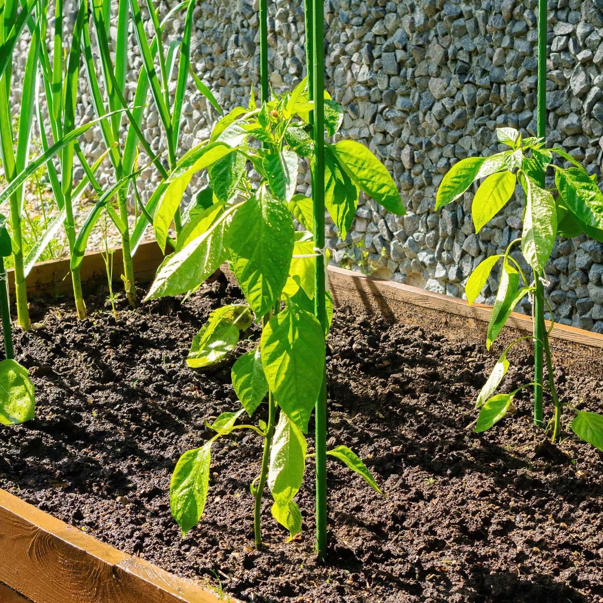 40x Pflanzstäbe grün 120 cm Ø 11 mm Rankstäbe aus Metall und Kunststoff, Pflanzstangen für Tomaten und Kletterpflanzen