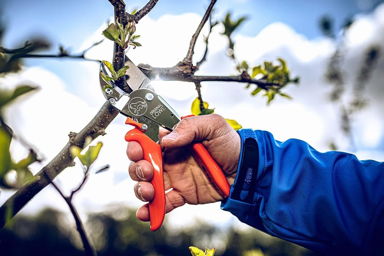 Original LÖWE 10 Profi Amboss Gartenschere 10.107 mit Bypass Geometrie - innovative scharfe Schere mit ergonomischen Griffen und Antihaftbeschichtung an Stahl-Klinge für Schneidarbeiten im Obstbau