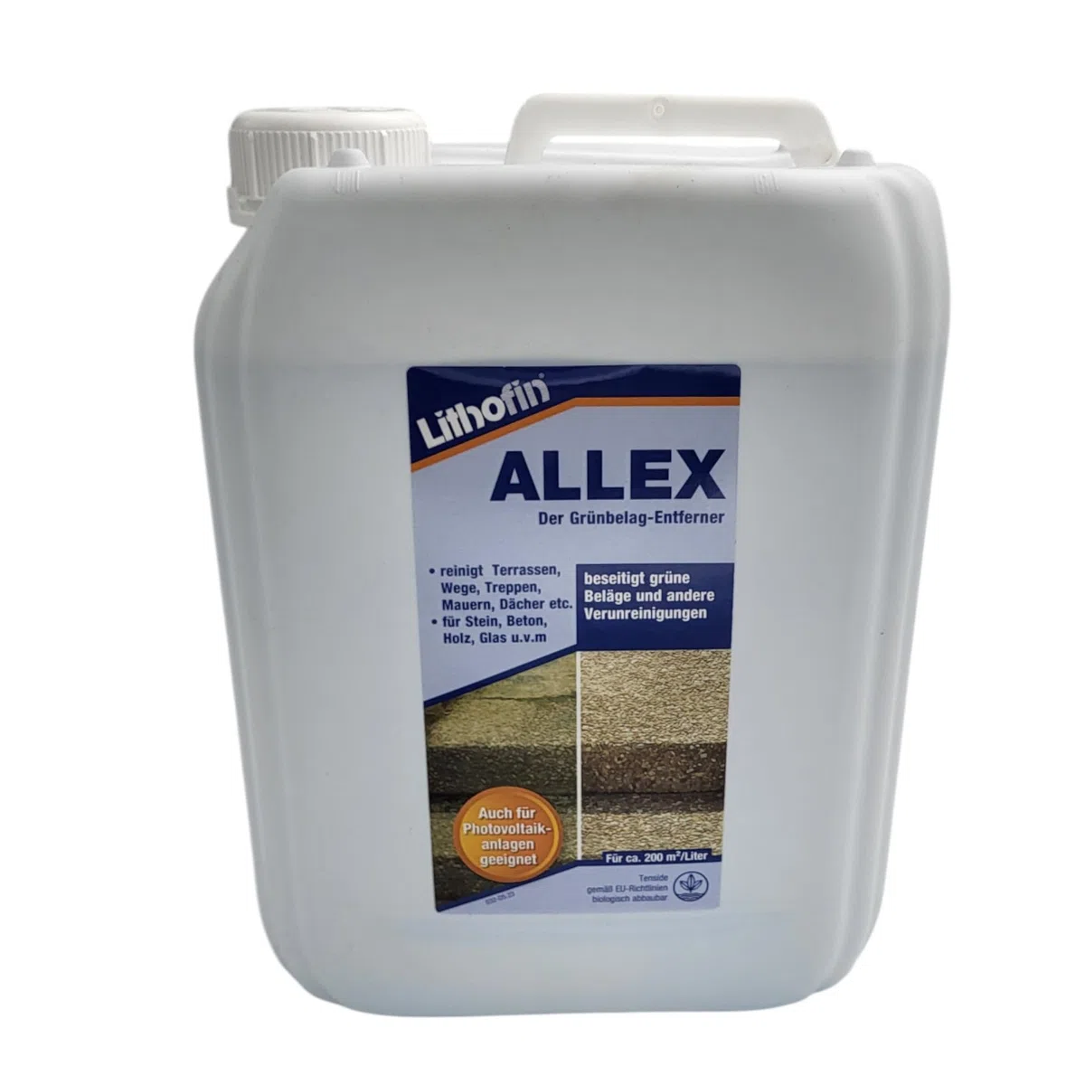 zbs24 Lithofin ALLEX Grünbelagentferner 5 Liter, Reinigungskonzentrat selbstwirkend gegen Algen und Moos, für Terrassen, Naturstein, Betonstein, Klinker, Putz und Holz, inkl. Reinigungsbürste