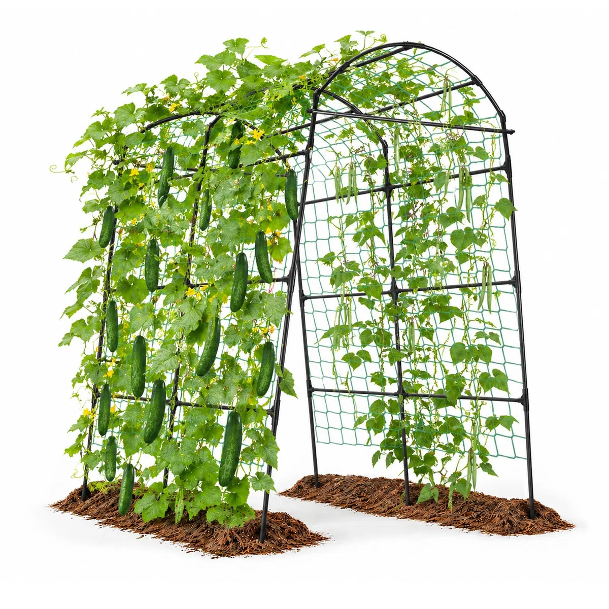 Rankgitter für Kletterpflanzen, Gurken Rankhilfe Metall, Garten Spalier Pflanzenspalier für Tomaten, Gemüse Blumen Kletterpflanzen Schwarz