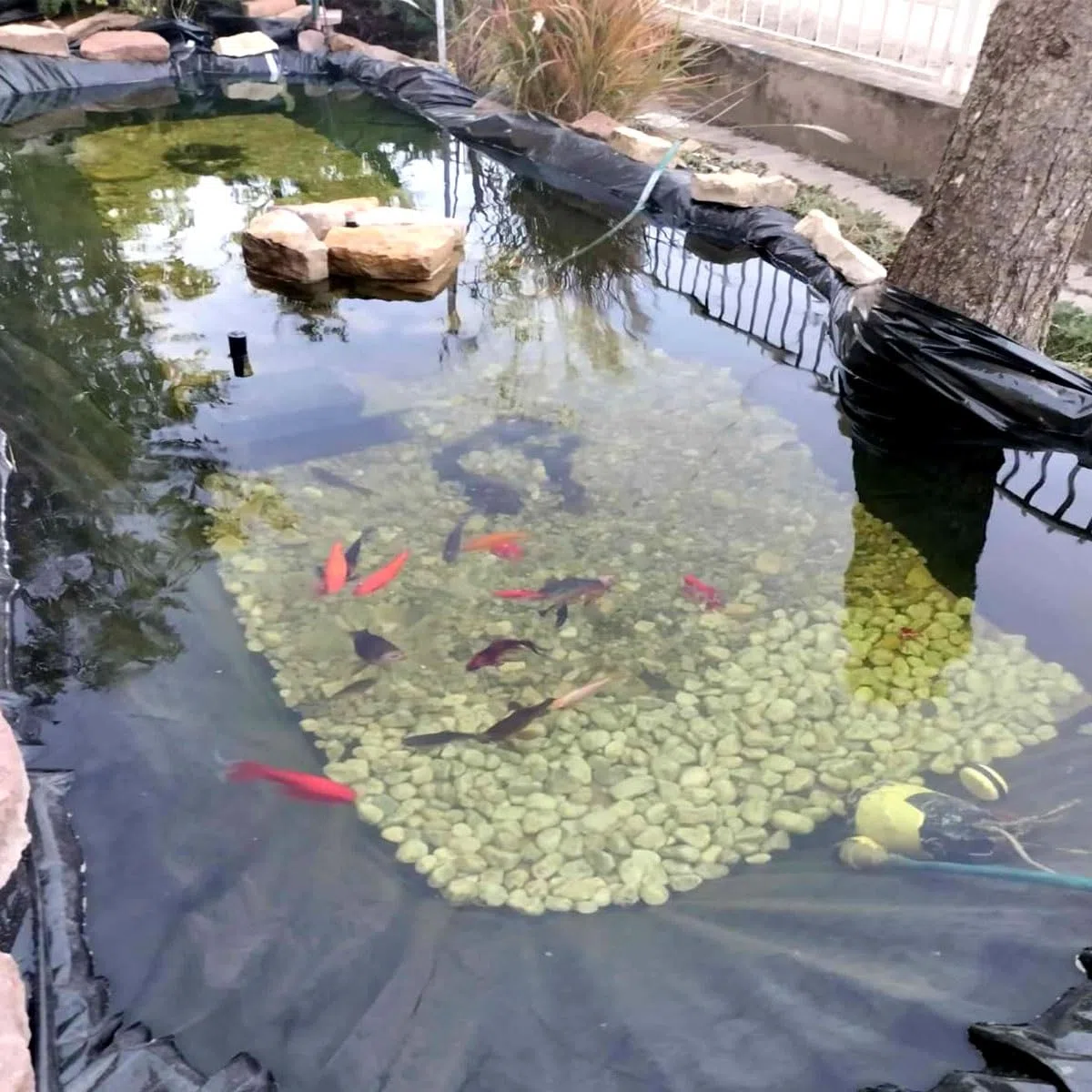 1 x 15 m HDPE Teichfolie Flexible Teichfolie für Gartenteich Wasserfall Bachlauf Fischteich Teichfolie Reißfest Schwarz (6x10m)