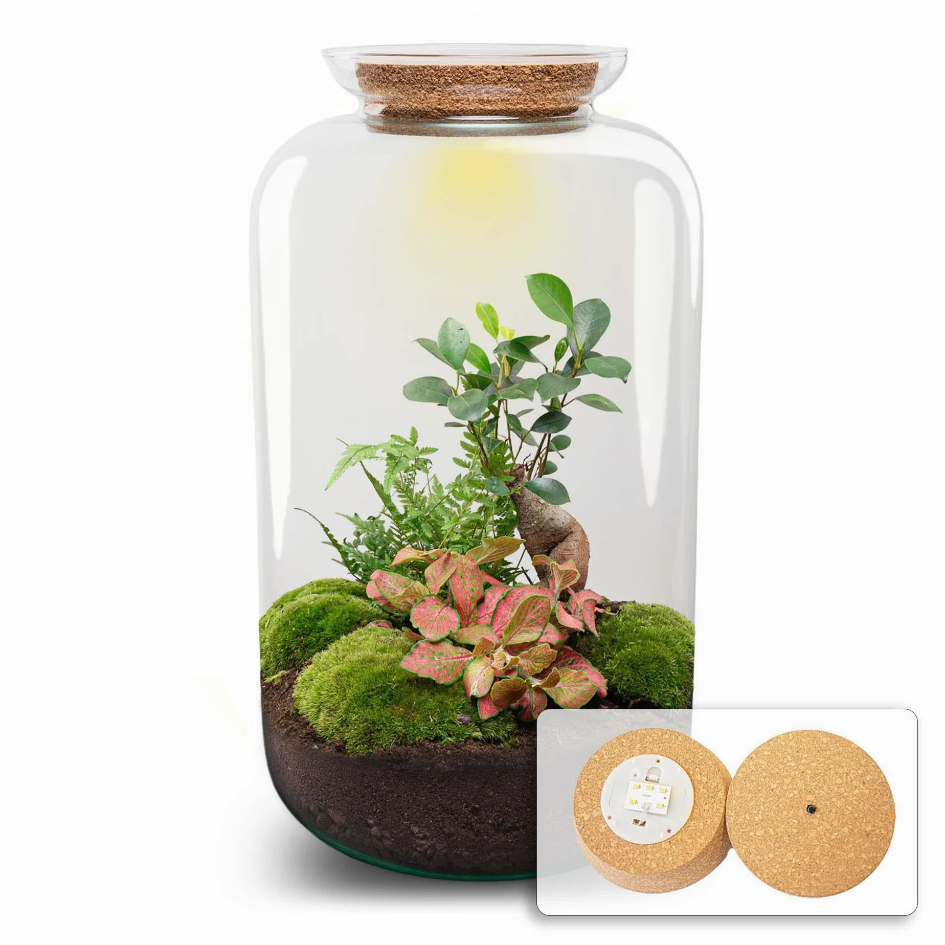 DIY Terrarium aus Glas, Flaschengarten mit Beleuchtung, Grün, H 43 cm