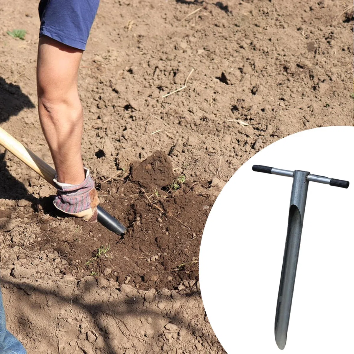 Colcolo Bodenprobenentnahmesonde für die Pflanzenpflege –, benutzerfreundlich, professionell, Premium, 80 cm lang – Werkzeug für Forstwirtschaft und, 4.7 cm