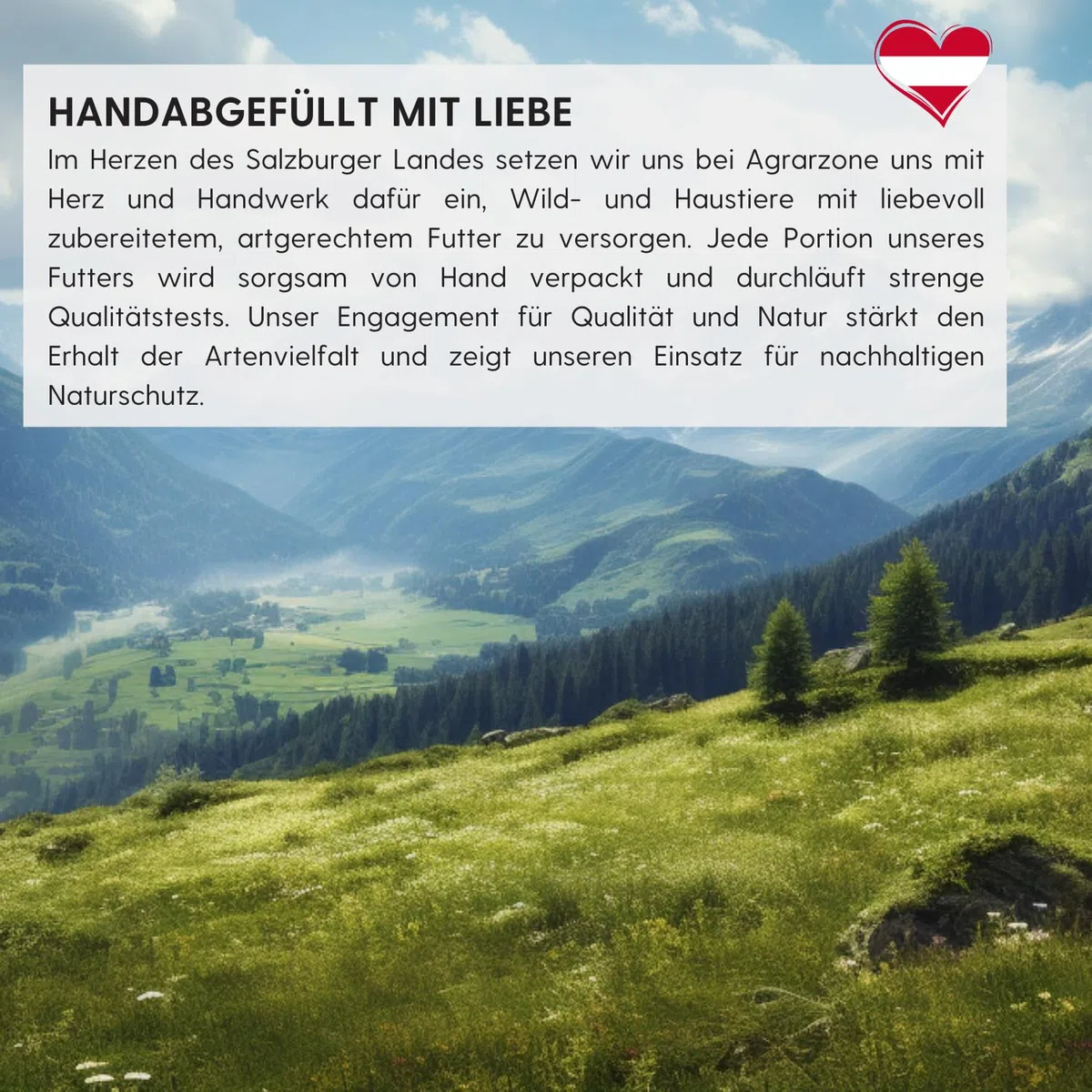 Agrarzone Mehlwürmer getrocknet 10 kg Vogelfutter Vögel Wildvögel | Insekten, Vögel, Fische, Nager, Igel, Reptilien, proteinreich