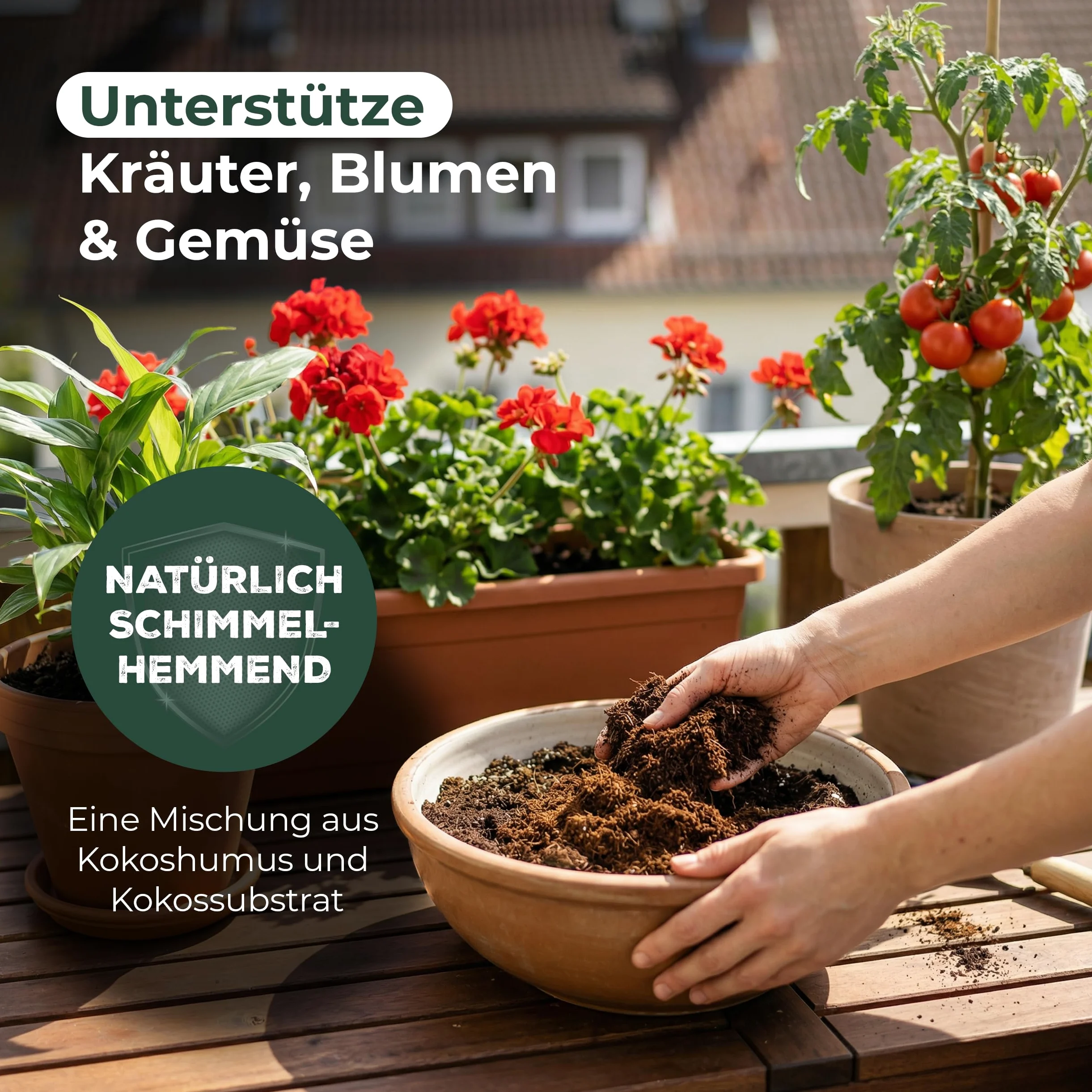 48x Blumenerde | Humuserde | Anzuchterde ohne Dünger | 288 Liter | Kokosfaser Erde Orchidee | Cocos Humus | 650g 20x5,5x10cm | Torferde Garten Kokosnuss Erde Substrat Zimmerpflanzen Kokoserde kaufen