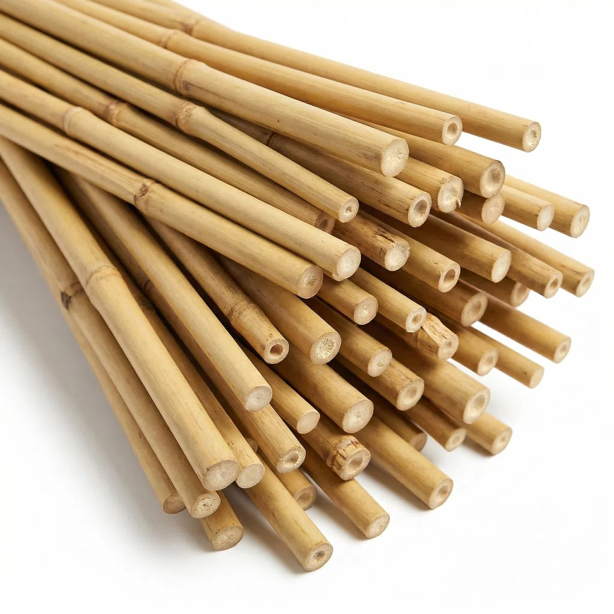 bellissa Bambusstäbe Rankhilfe Bambusstangen 50er-Set Bambusholz 180 cm | Pflanzenstütze für Rankpflanzen, widerstandsfähige Pflanzstäbe aus Holz für Garten & Balkon
