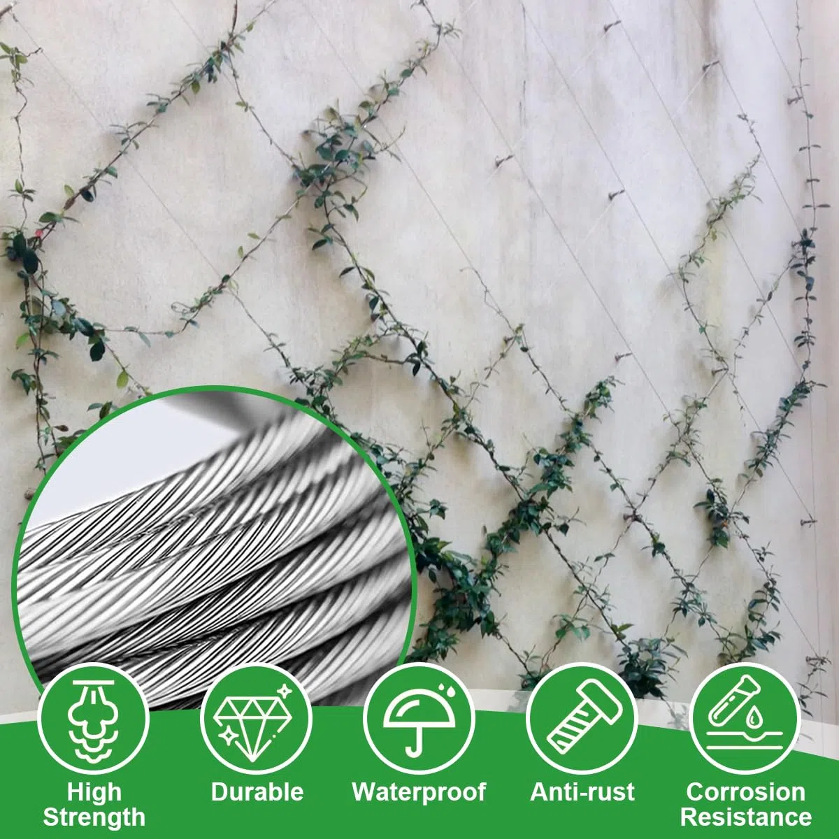 Rankhilfe aus Edelstahl für Kletterpflanzen, für Garten/Mauer/Beton/Zaun | 30M Spalier auf Plantagenstandard, mit 3 mm Durchmesser, Set Drahtseile System Kit für Pflanzen mit Wall Mount Brackets