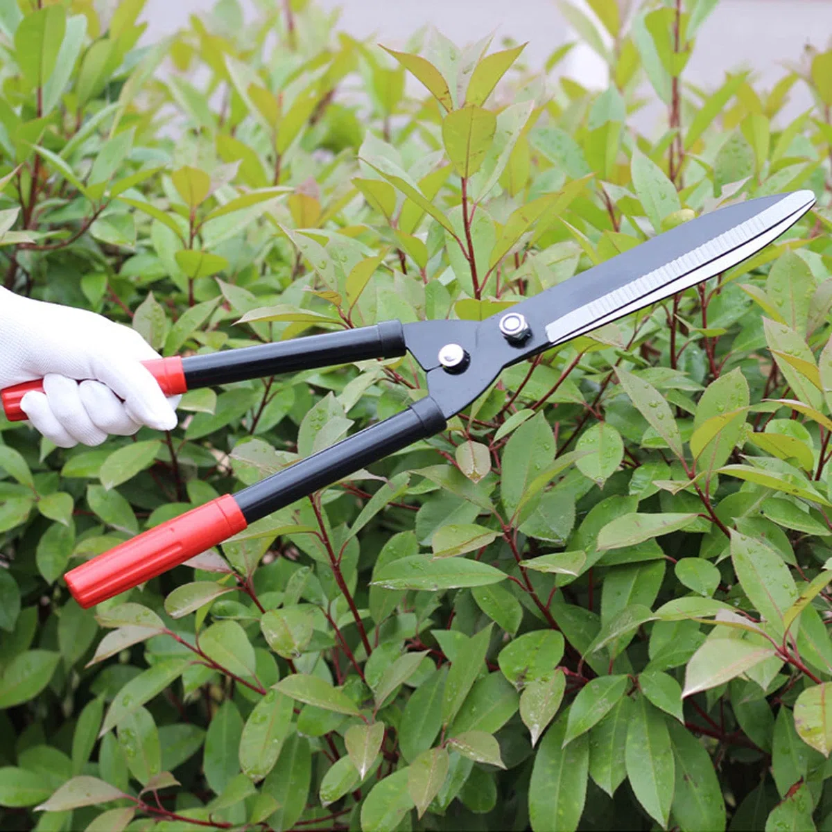 Heckenschere Gartengeräte Garten, Klinge Starke Aluminiumgriffe Manuelle Heckenschere Zum Beschneiden Von Rabatten Formgehölze Buchsbaumgräser,