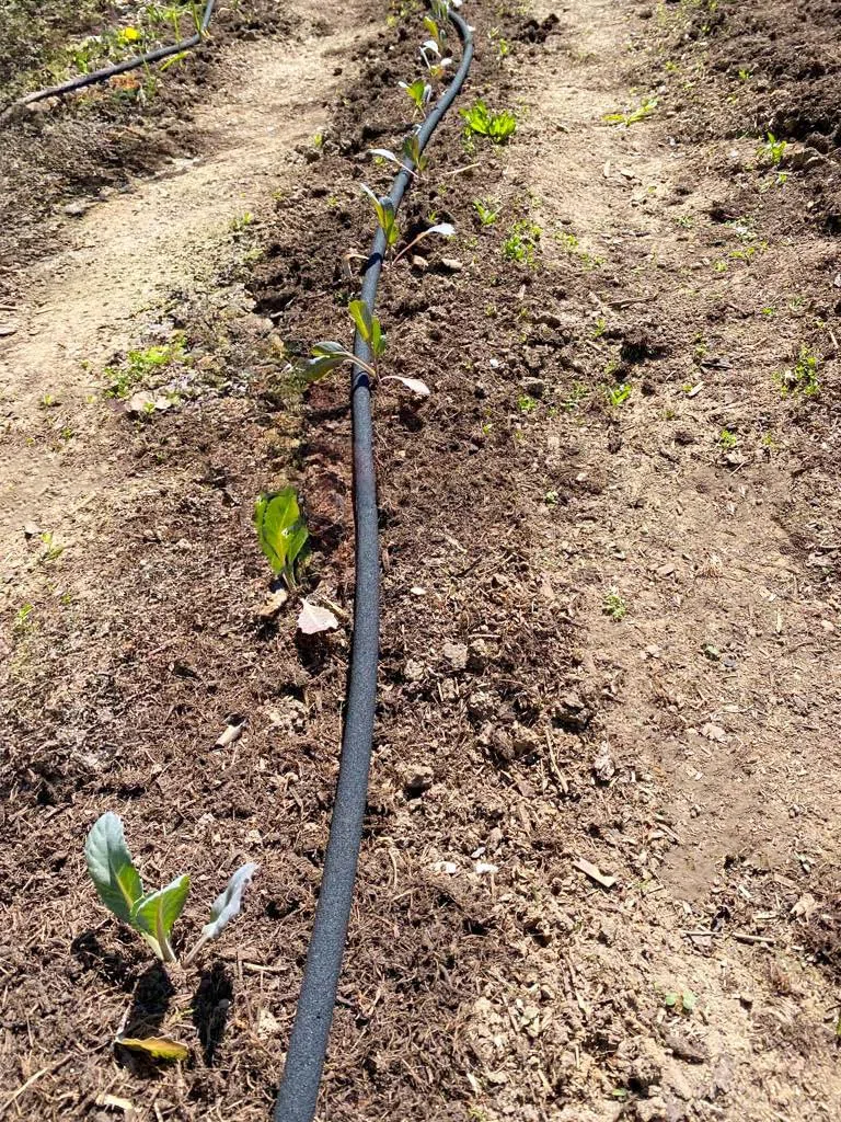 100m CS Perlschlauch Premium 4er Set für die Bewässerung im Garten/Hochbeet/Gemüsebeet/Heckenbewässerung