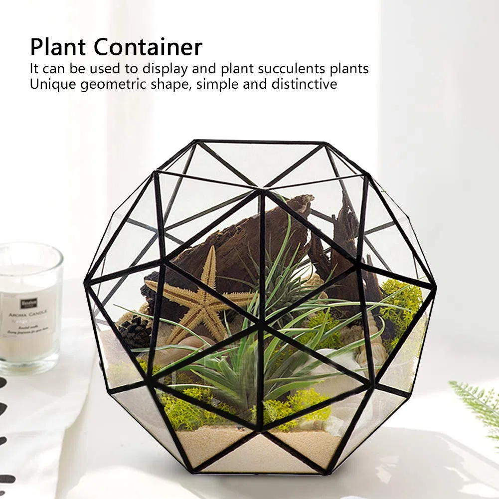 Geometrischer Glas-Blumentopf, 23 x 23 x 19 cm / 9,1 x 9,1 x 7,5 Zoll, eleganter Glas-Pflanzgefäß-Behälterhalter, vertikales Terrarium-Display für Garten, Büro, Schreibtisch