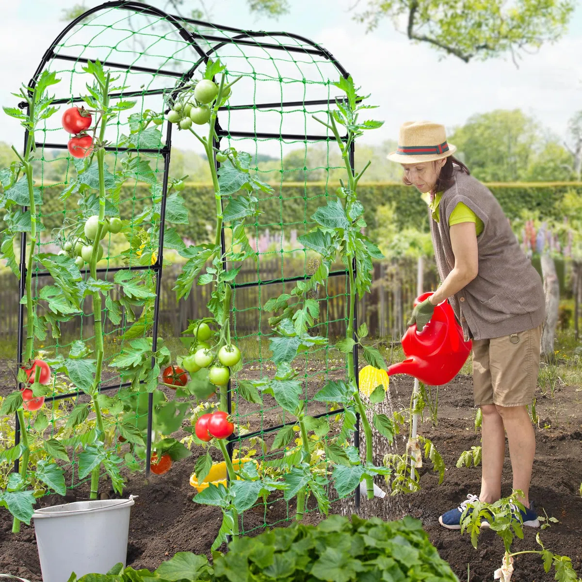 Gurken Rankhilfe Gartenbogen für Kletterpflanzen Rankhilfen, Metall Rostfrei Rankhilfe für Pflanzenspalier für Tomaten, Gemüse Rankgitter Blumen Kletterpflanzen Schwarz