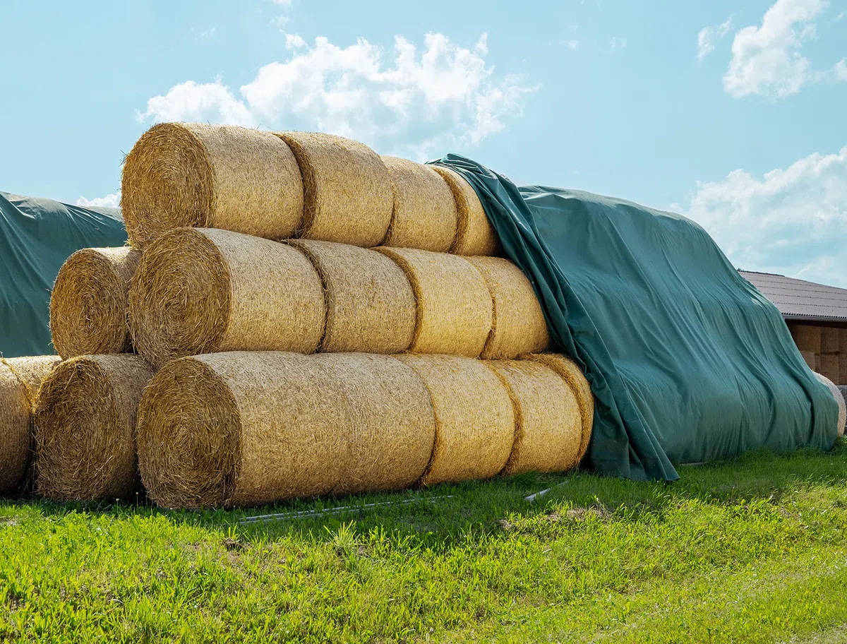 AGRI plus Strohvlies 15,6 x 25 m - ohne Nägel I Stabiles 140 g/m² Schutzvlies aus Polypropylen I Extrem reißfestes Heuvlies für langfristigen Schutz I Abdeckvlies wetterfest & UV-beständig