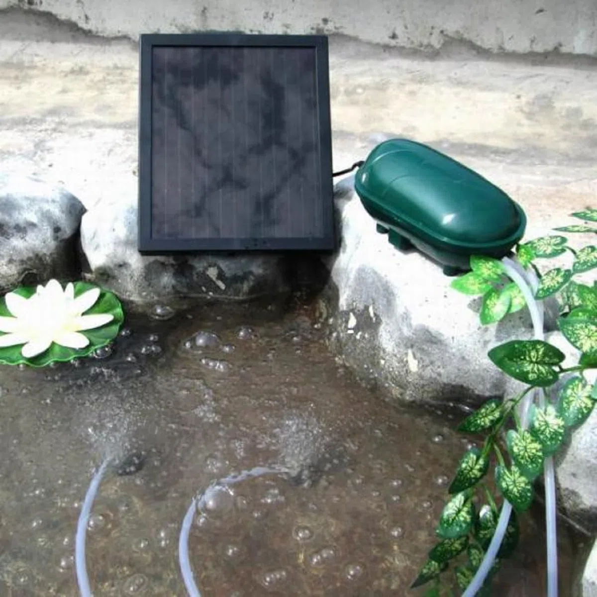 Wehmann Solar Teichbelüfter Power Doppelpumpe 200 l pro Std. Teichbelüfter für Tag und Nacht !!!