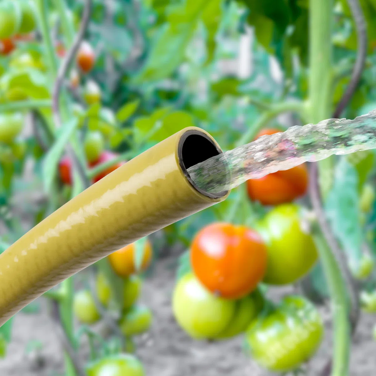 TATAY Gartenschlauch Agri Line Ø5/8" 15 mm PVC mit Polyestergewebe | Gartenschlauch Garten | Länge 50 m | Ø5/8" 15 mm | Bis 28 bar | Knick- und torsionsfest | 3 Jahre Garantie | 60º bis -20º