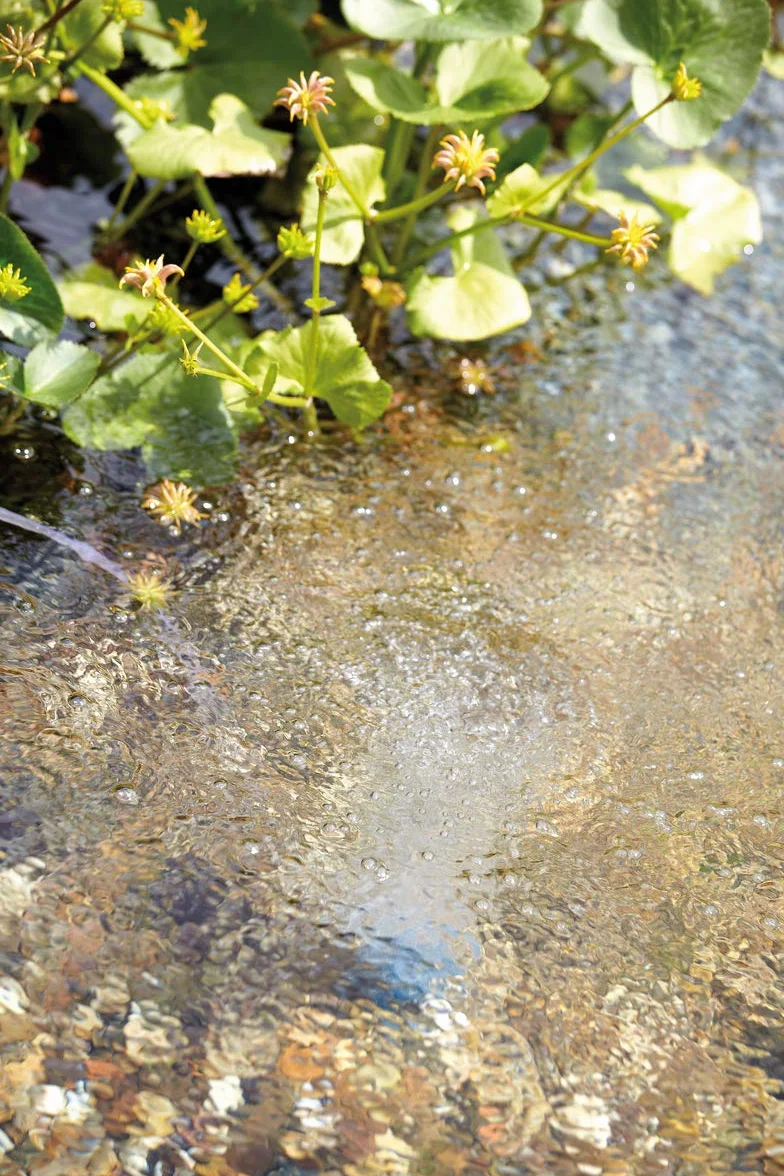 OASE 50290 Teichbelüfter OxyTex 1000 & 37125 Teichbelüfter AquaOxy 1000 geeignet für Teiche bis zu 10 m³ bzw. mit hohem Fischbesatz