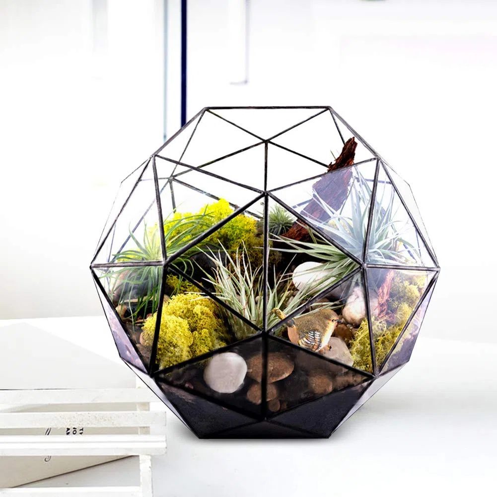 Geometrischer Glas-Blumentopf, 23 x 23 x 19 cm / 9,1 x 9,1 x 7,5 Zoll, eleganter Glas-Pflanzgefäß-Behälterhalter, vertikales Terrarium-Display für Garten, Büro, Schreibtisch