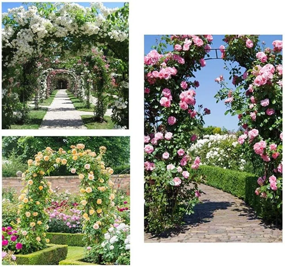 Robuster Metall-Gartenbogen für Kletterpflanzen, starkes wetterbeständiges Eisenrohr-Rosen-Spalier für Outdoor-Dekorationen und Gartenpavillon-Unterstützung