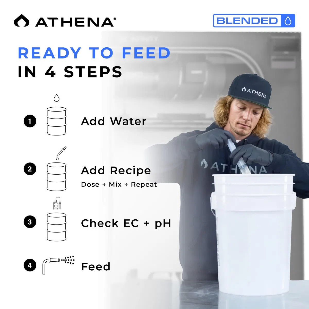 Athena Gemischtes Starter-Set (907.2 g)
