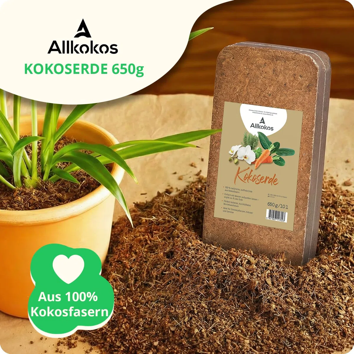 30x650g hochwertige Kokoserde für Pflanzen & Blumen | Block quillt zu 9L Pflanzenerde, torffreies Kokossubstrat, 100% natürliche Kokosfaser Erde mit pH 5,5–6,8