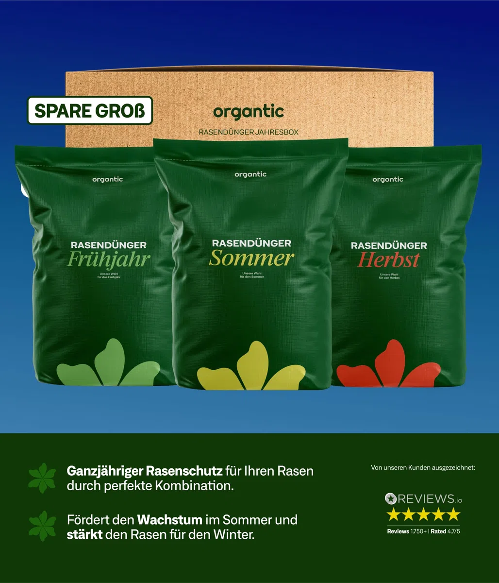 organtic Herbstrasendünger 20kg - Rasendünger mit Kalium für Herbst & Winter - Unterstützt sattgrünen Rasen, Moosverdrängung & starke Rasengräser - Für organische Rasenpflege im Garten