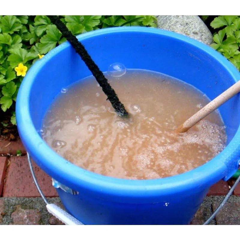 Aqua-5 Dry 4er Spar-Set Maxi-Dosen á 280 g | Hochkonzentrierte Teichbakterien Filterbaktieren f. Koiteich, Gartenteich, Schwimmteich, Aquarium - Für klares Wasser & zur biologischen Filterung