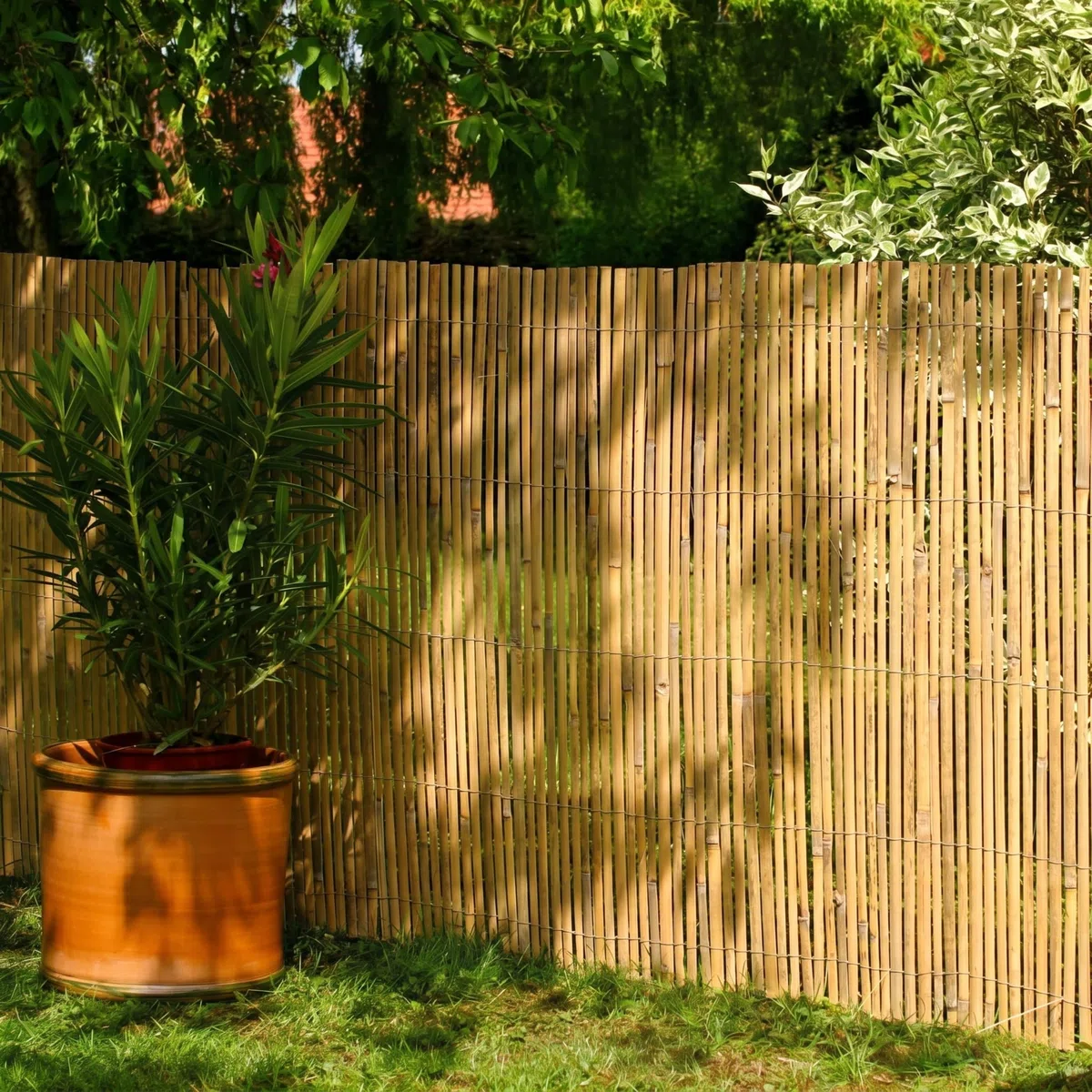 DE-COmmerce Bambus Zaun Schilf Sichtschutz CALAMA extra gehärtet (HxB) 180 x 300 cm Balkonsichtschutz, Gartenzaun, Sichtschutzzaun für Garten, Terrasse, Balkon