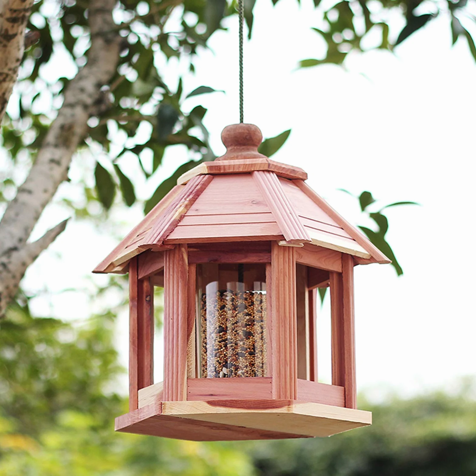 Vogelhaus aus Holz zum Aufhängen,Vogelfutterhaus wetterfest für Balkon Garten,Vogelhäuschen Futterhäuschen,Vogel Futterhaus,Vogelfutterhaus Vogelhaus Futterstation Vogelhäuschen Vogel
