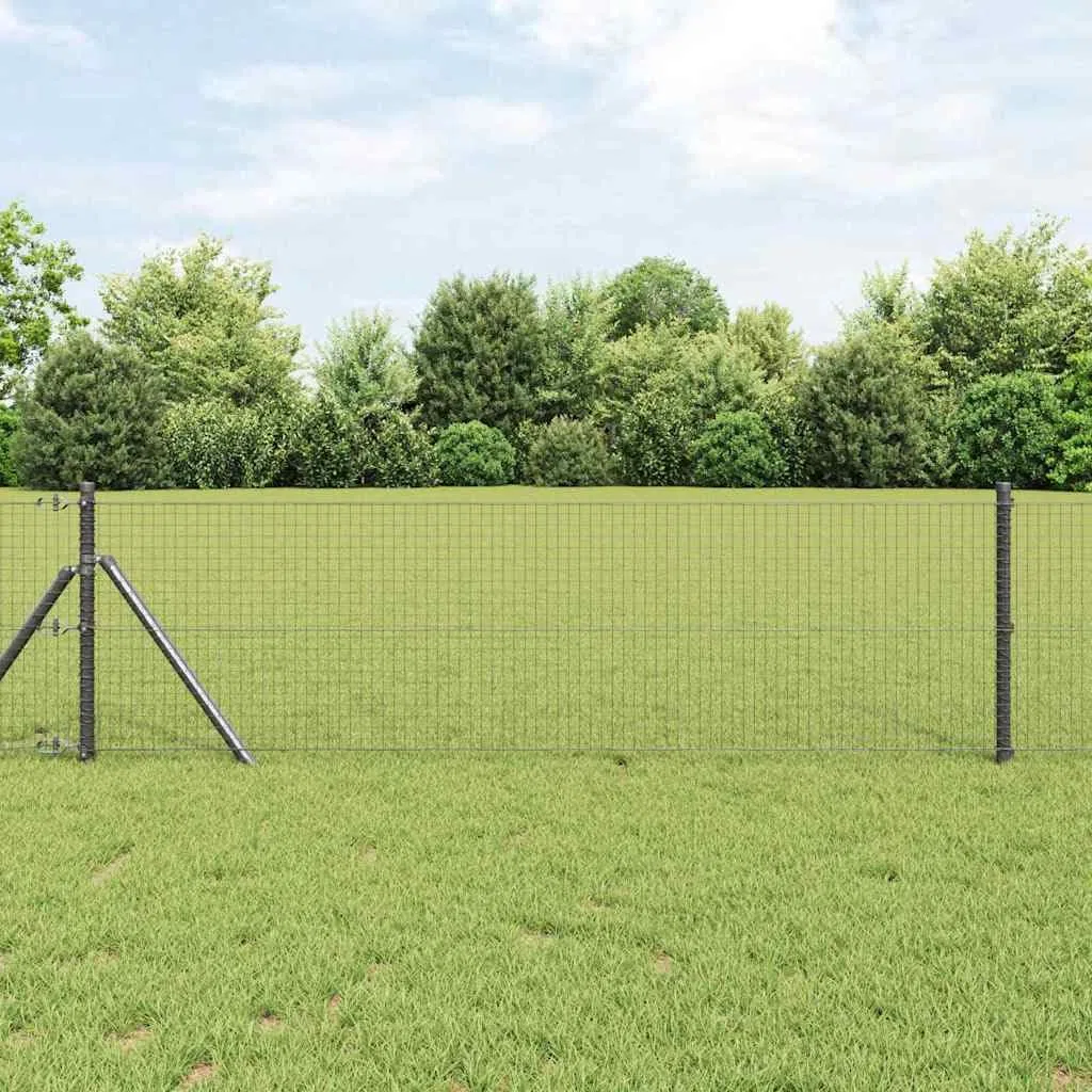 Geschweißter Drahtzaun Grau, 10000 x 60 cm, Zaunfeld mit robustem Metall, Gartenzaun Paneel für Terrasse und Vorgarten, Sichtschutz, Sicherheit, wetterbeständig, vielseitige Abgrenzung