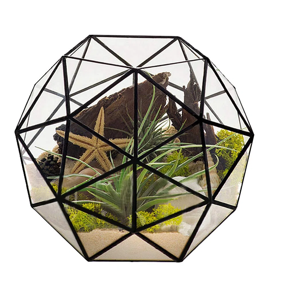 Geometrischer Glas-Blumentopf, 23 x 23 x 19 cm / 9,1 x 9,1 x 7,5 Zoll, eleganter Glas-Pflanzgefäß-Behälterhalter, vertikales Terrarium-Display für Garten, Büro, Schreibtisch