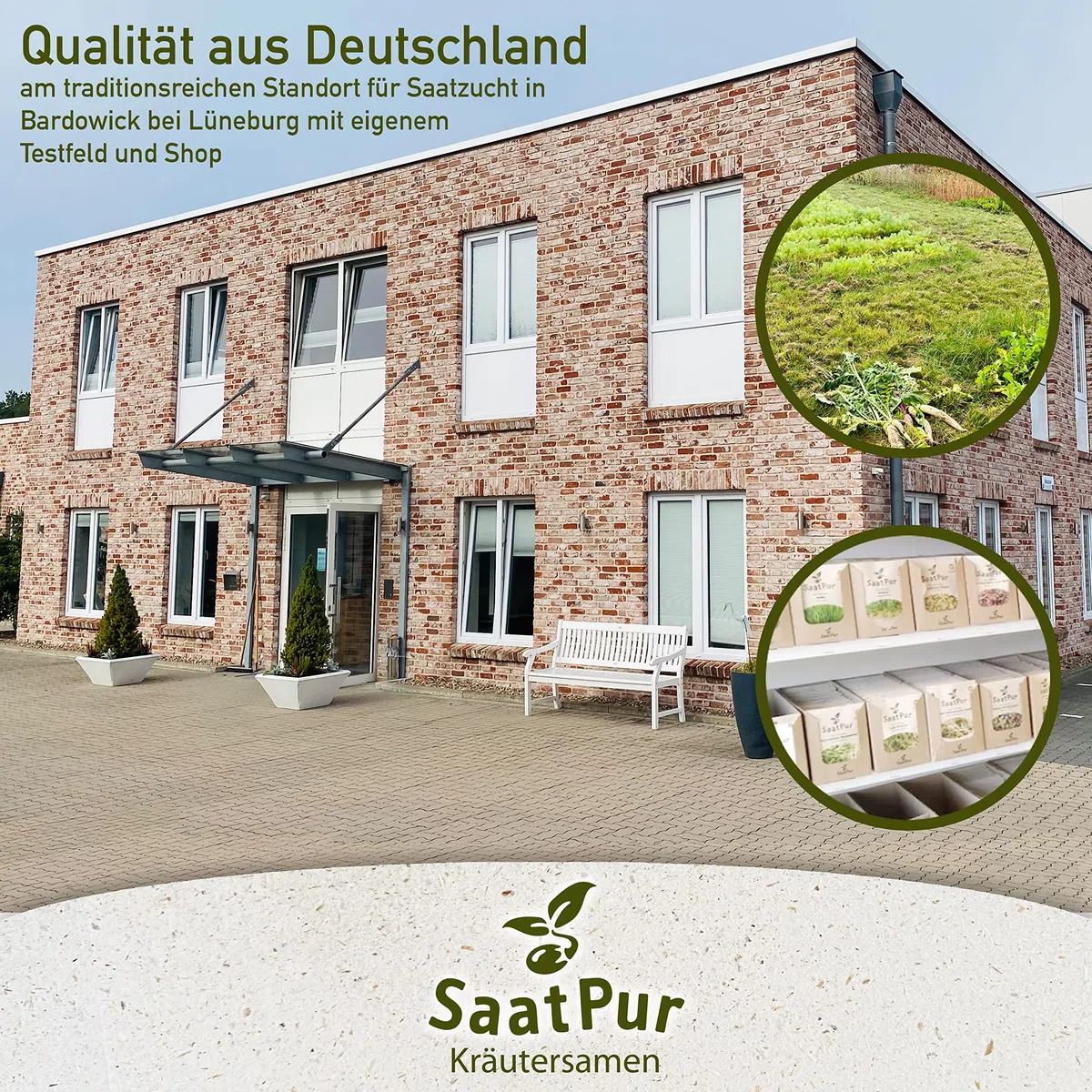 SaatPur Winterportulak Samen, Saatgut - Kleines Tray mit 25 Portionstüten für je ca. 1500 Pflanzen
