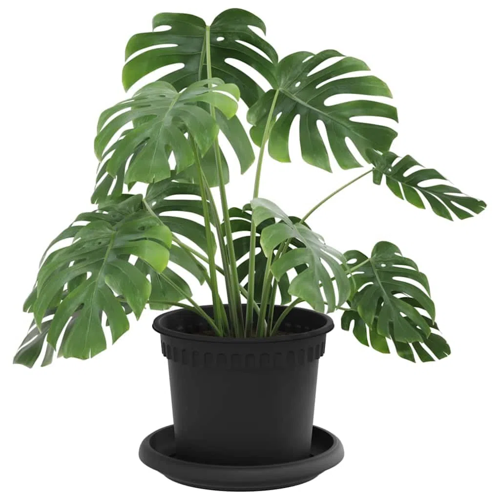 Blumentöpfe 24 Stück Schwarz Ø 12,5 x 10 cm Kunststoff Pflanzgefäße Balkon Garten Zimmer Indoor Outdoor Pflanztöpfe mit Ablauflöchern und modernem Design für Pflanzenpflege