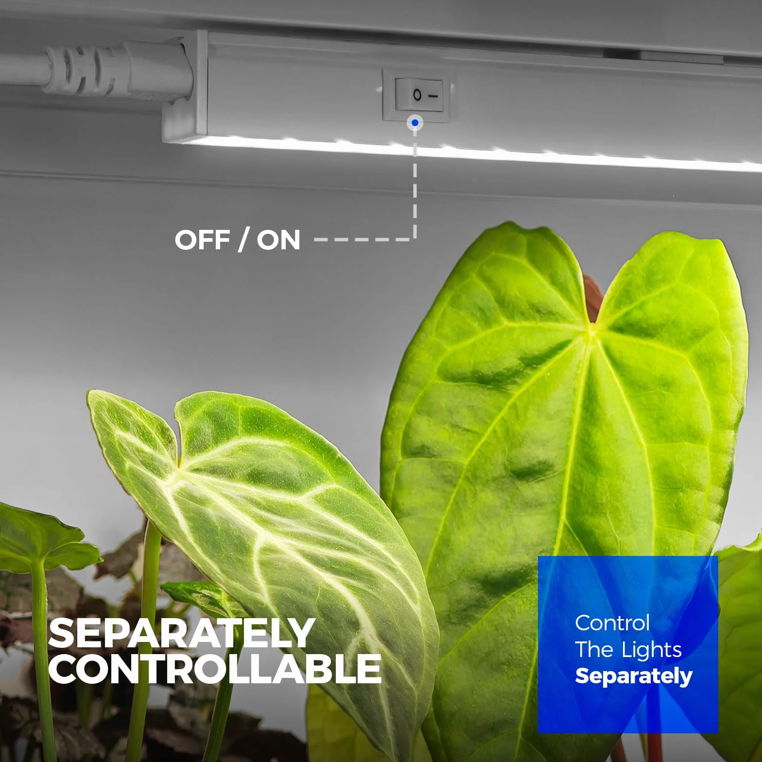 Barrina T5 LED Grow Lampe, 59cm, 5000K Weißes Vollspektrum Pflanzenlampe, 40W (4 x 10W), 2FT Verkettbare Grow Lampe Blüte, Stecker und Spiel, Hohe PPFD, 4er