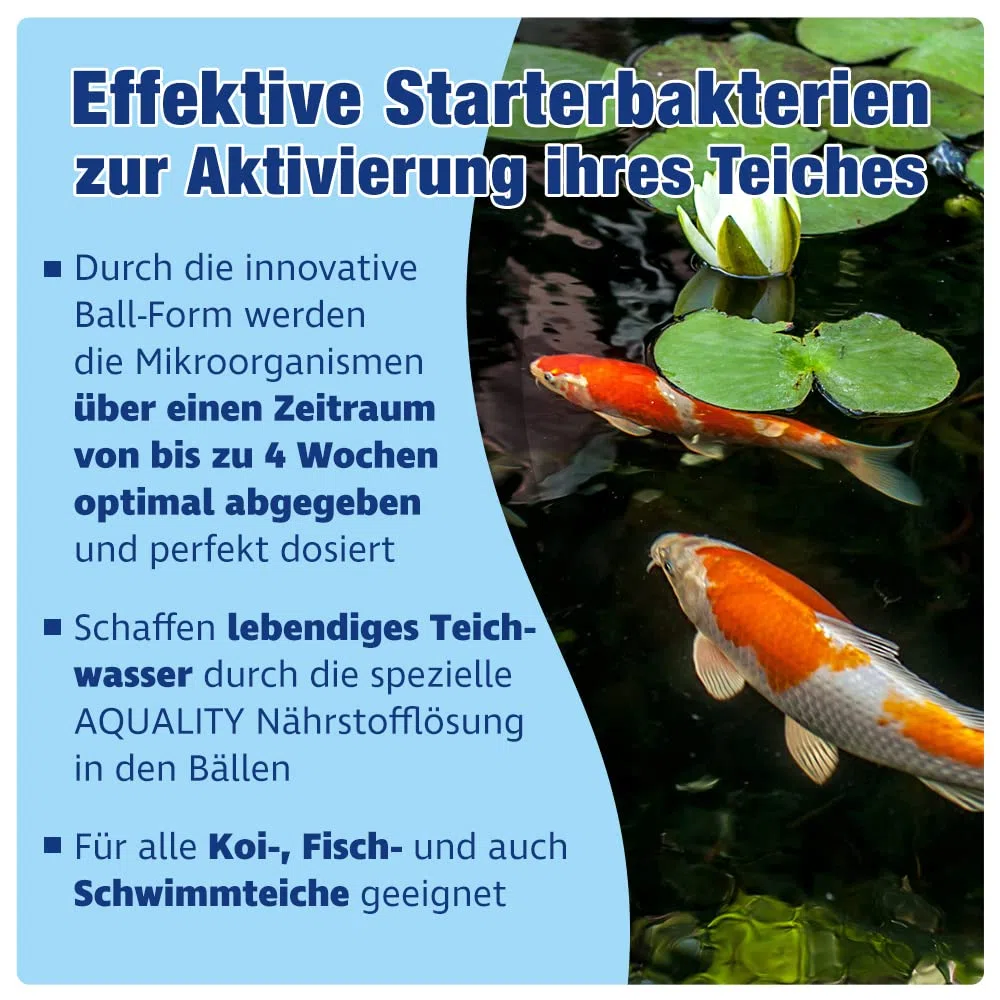 AQUALITY Gartenteich AQUABALLS Pond Starterbakterien (Optimale Dosierung - Millionen effektive Mikroorganismen und nützliche Starterbakterien), Inhalt:5 Liter