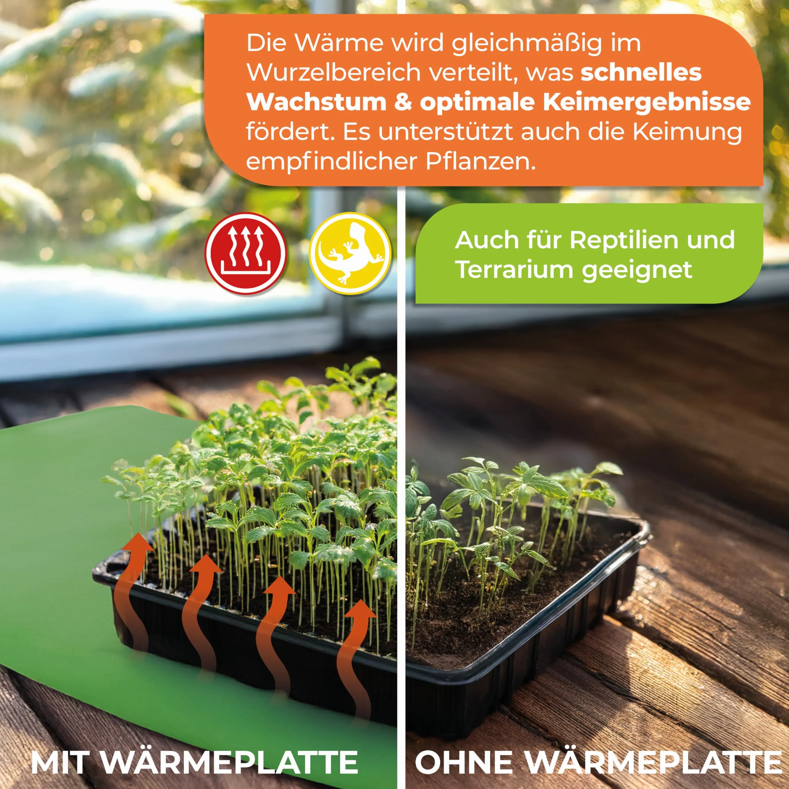 Bio Green Anzuchtbooster Heizmatte für Pflanzen | 30 x 60 cm | 32 Watt | wasserdichte Wärmeplatte | Turbo für Ihre Samen | für Keimung & Stecklinge