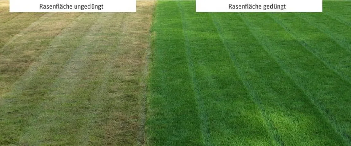 Super Floranid Twin Turf BS Premium Langzeitdünger, 20 kg, NPK 20-5-10 (+2), Rasendünger Compo Expert Universaldünger