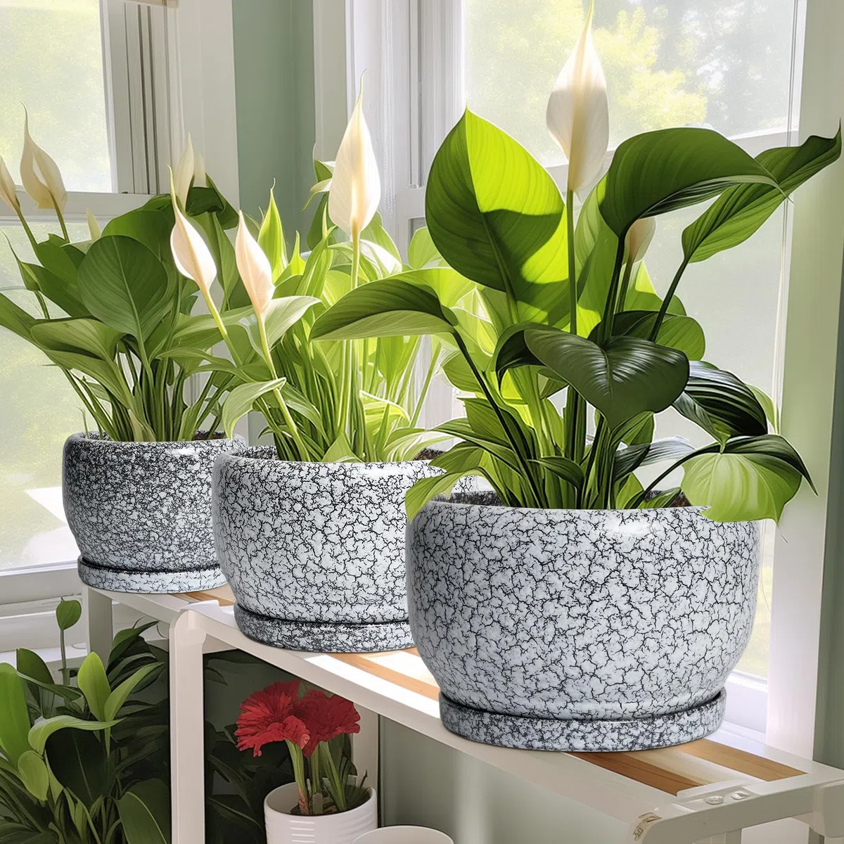 SQOWL Keramik-Pflanzgefäße – 25,4 cm Keramik-Blumentopf mit Ablaufloch und Untersetzer, dekorativer Blumentopf für den Innenbereich, runder großer Übertopf für den Außenbereich, Badezimmer-Dekor