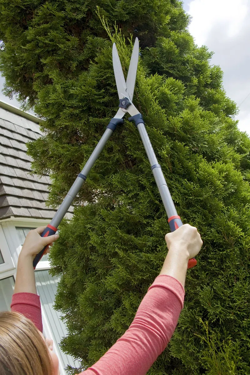 Spear & Jackson 4904RSS Razorsharp Teleskop-Schere aus Stahl
