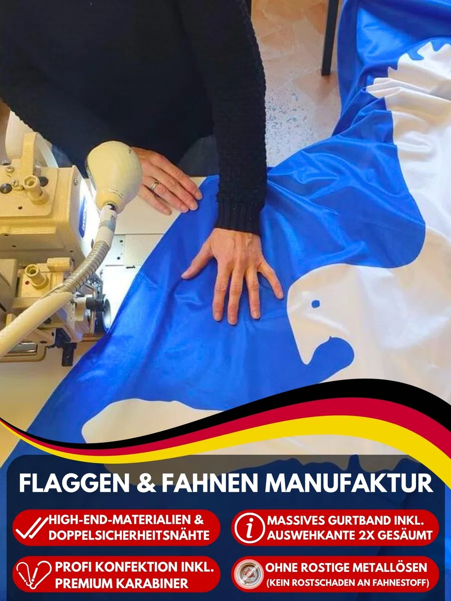 Zertifizierte Flagge Fahne Wolfhagen - KS 120 x 300cm - Bannerflagge mit Holzquerstab und Met.Karabinerhaken aus deutscher Flaggen-Manufaktur
