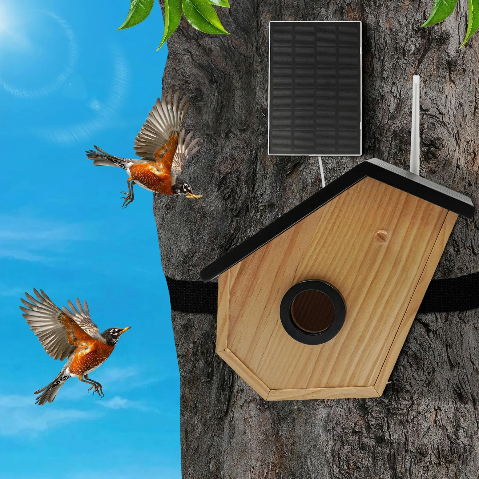 Kiefernholz Vogelhaus mit Kamera,Solarbetrieb,Bird Feeder Camera,KI-Vogelerkennung,Nachtsicht (Farbe/Infrarot),HD-Überwachung,für Volieren,Bauernhöfe,Gärten, Balkone