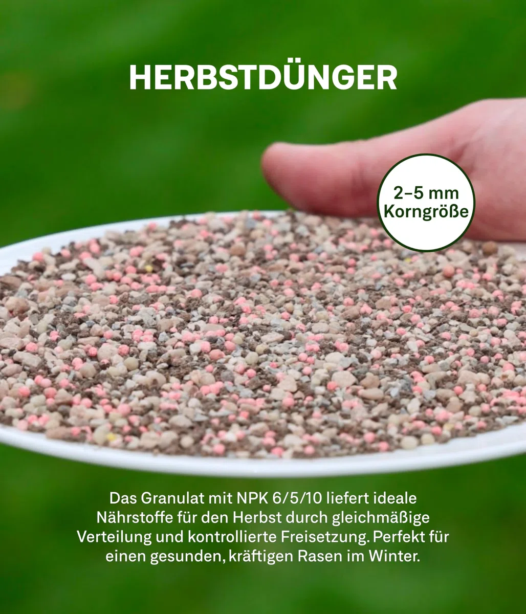 organtic Herbstrasendünger 20kg - Rasendünger mit Kalium für Herbst & Winter - Unterstützt sattgrünen Rasen, Moosverdrängung & starke Rasengräser - Für organische Rasenpflege im Garten