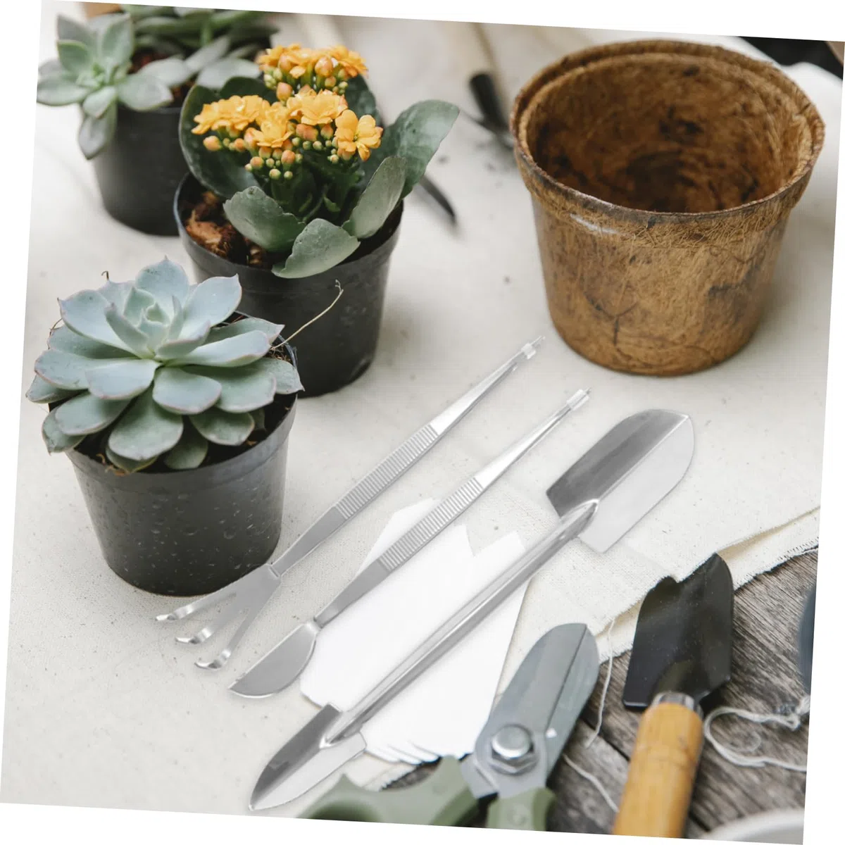 Toyvian 3sätze Präzisionswerkzeugset Für Bonsai -zangen Rake Und Doppelseitiger Für Pflanzenpflege Und Terraristik Für Garten Und Innenbereich