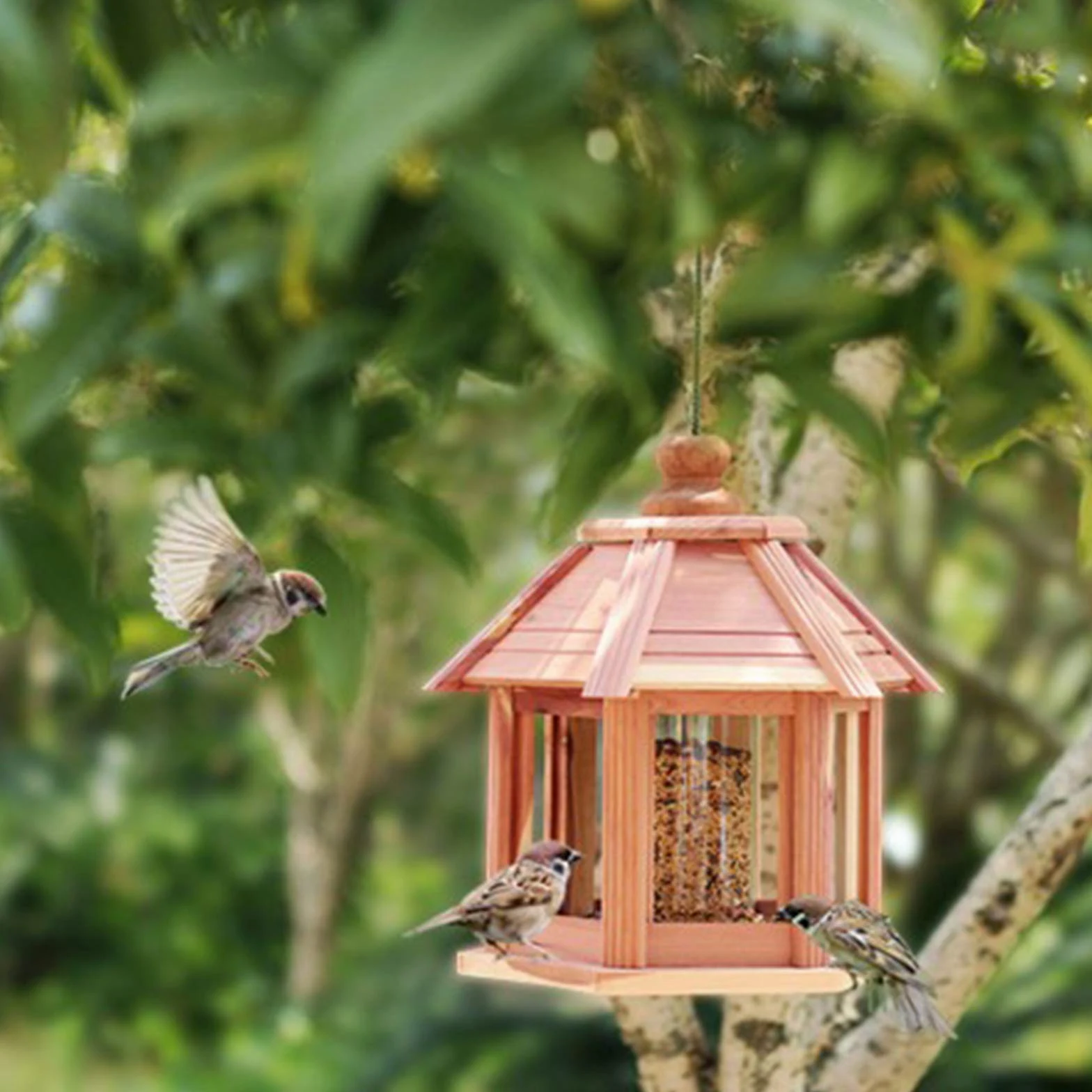 Vogelhaus aus Holz zum Aufhängen,Vogelfutterhaus wetterfest für Balkon Garten,Vogelhäuschen Futterhäuschen,Vogel Futterhaus,Vogelfutterhaus Vogelhaus Futterstation Vogelhäuschen Vogel