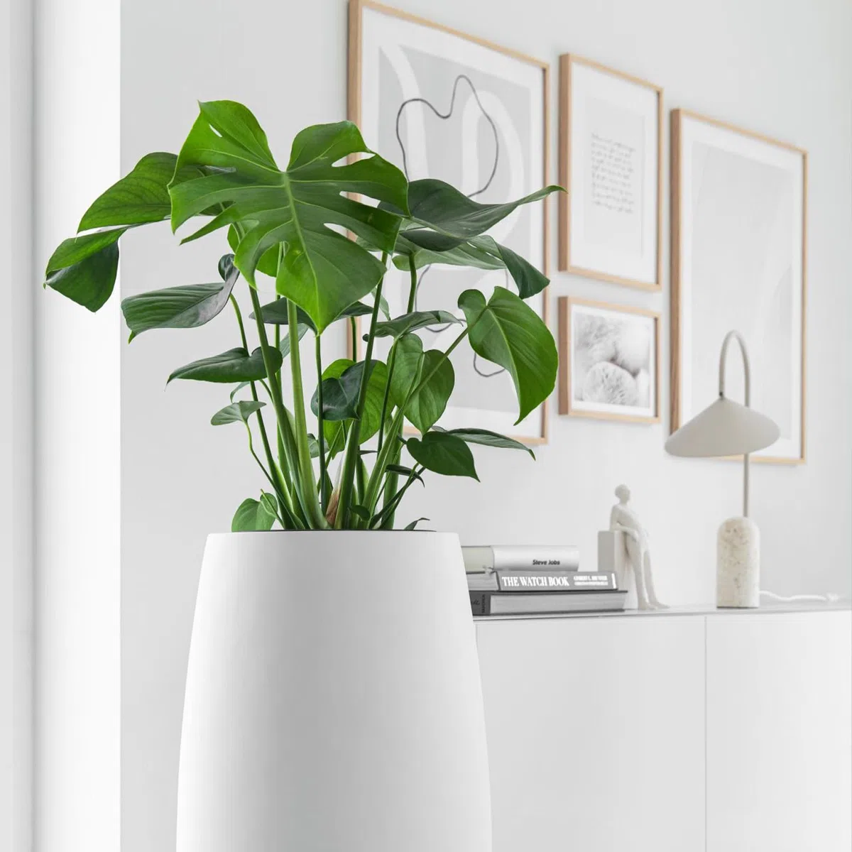 VIVANNO Pflanzkübel Bodenvase Fiberglas Magnum Weiß Matt - 80x23