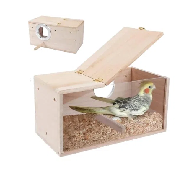 jkahh Vogelhaus, Nymphensittich, transparent, leicht zu reinigen, glatte Kanten, Nistkasten, Vogelbedarf, Holz, L
