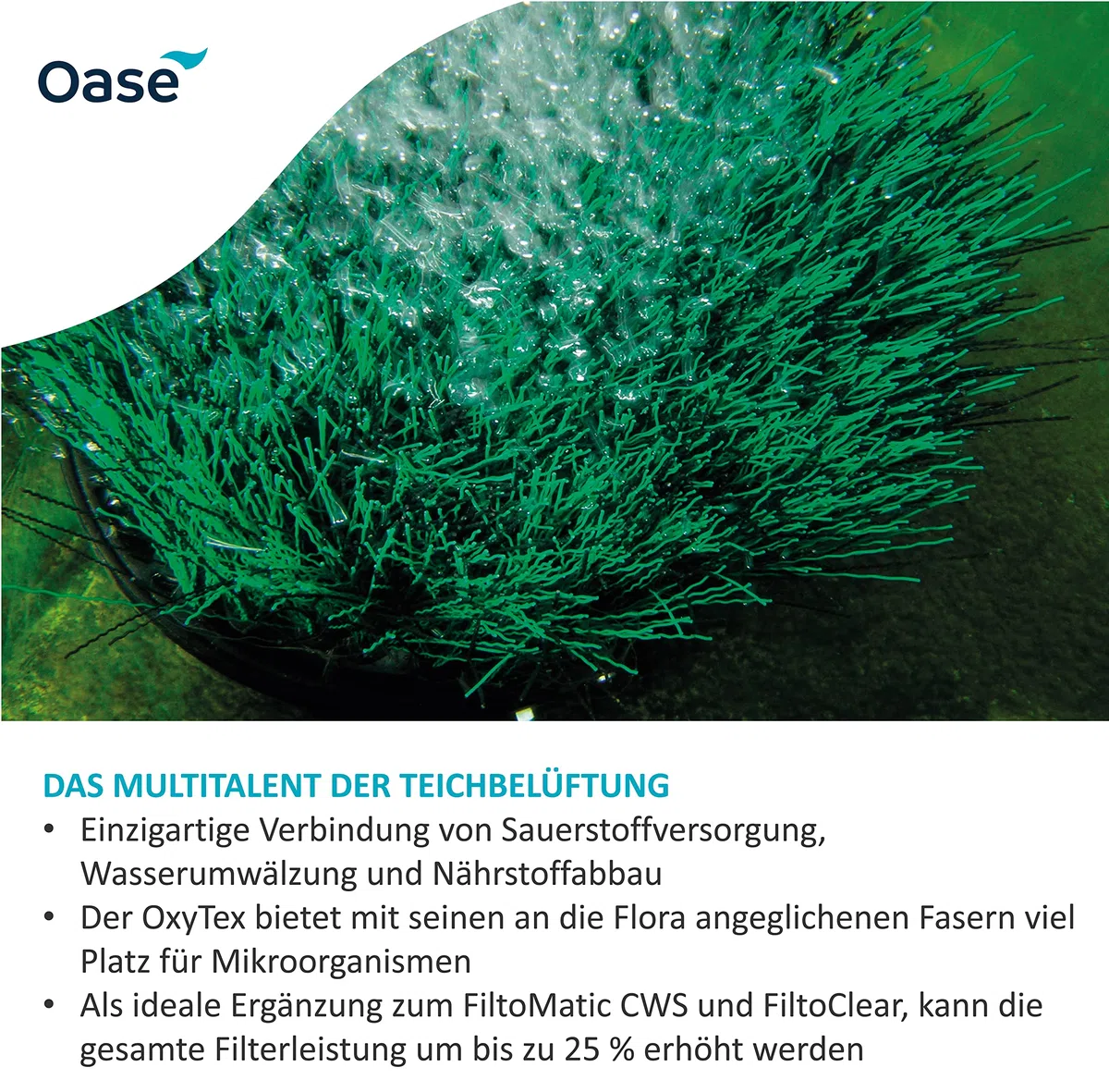 OASE 50290 Teichbelüfter OxyTex 1000 & 37125 Teichbelüfter AquaOxy 1000 geeignet für Teiche bis zu 10 m³ bzw. mit hohem Fischbesatz