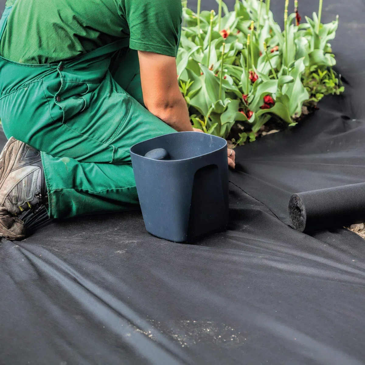 Anti Unkrautvlies 150g/m² Gartenvlies Rolle 50m x 1m = 50m² I Unkrautfolie sehr hohe UV-Stabilisierung - extrem reißfest und wasserdurchlässig