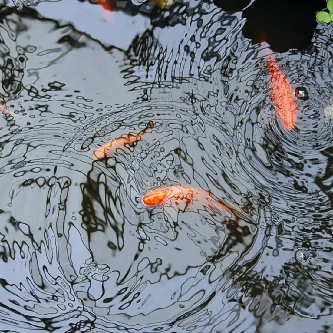 HDPE-Teichfolie 10x8m, wasserdichte Membran für Wassergärten, Fischteiche, Wasserfälle und Springbrunnen, strapazierfähige Abdeckung für Wasserlandschaften